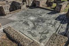 Ostia Antica - Terme dei Cisiarii; il mosaico del frigidarium.